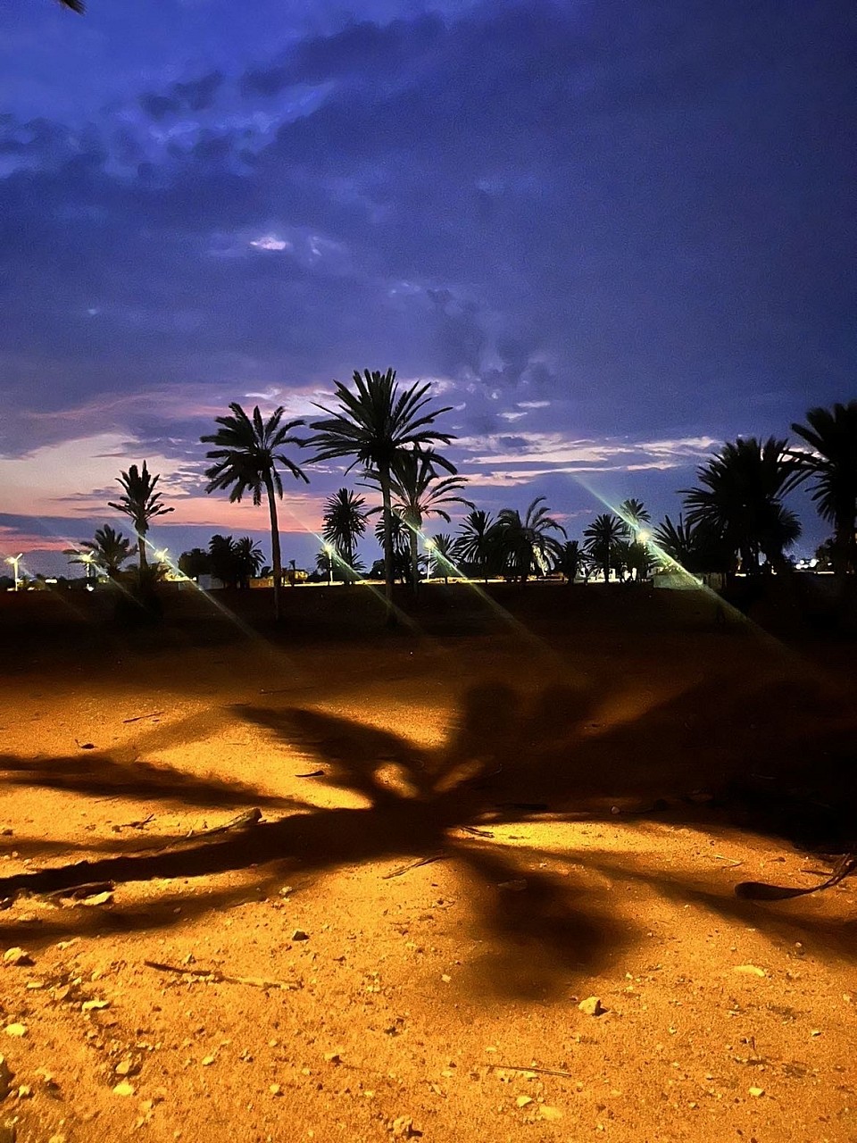 ✨ Association GDVB ✨ Un accompagnement sur mesure pour les personnes du voyage  Vous souhaitez travailler, apprendre ou &ecirc;tre accompagn&eacute; dans vos d&eacute;marches ? L&rsquo;Association GDVB est l&agrave; pour vous soutenir :  ✅ Accompagnement vers l&rsquo;emploi : aide &agrave; trouver un travail adapt&eacute; &agrave; vos envies et comp&eacute;tences. ✅ D&eacute;marches administratives : nous vous aidons &agrave; remplir vos papiers et &agrave; mieux comprendre vos droits. ✅ Cours d&rsquo;alphab&eacute;tisation : 	&bull;	Pour les jeunes de 20 &agrave; 25 ans qui veulent progresser, 	&bull;	Pour les seniors qui souhaitent apprendre &agrave; lire et gagner en autonomie.  👩&zwj;🤝&zwj;👩 Une &eacute;quipe de b&eacute;n&eacute;voles engag&eacute;s &agrave; vos c&ocirc;t&eacute;s : Serena &ndash; Stina &ndash; Nesly &ndash; Angelina  📍 Nous sommes pr&eacute;sents partout en France, avec bienveillance et respect.  👉 Avec GDVB, ouvrez les portes du monde du travail et de la connaissance.